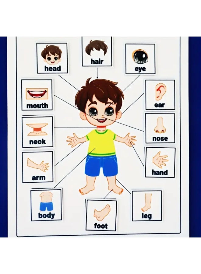أداة تعليمية لأجزاء الجسم المصنوعة من اللبادة - Image 4
