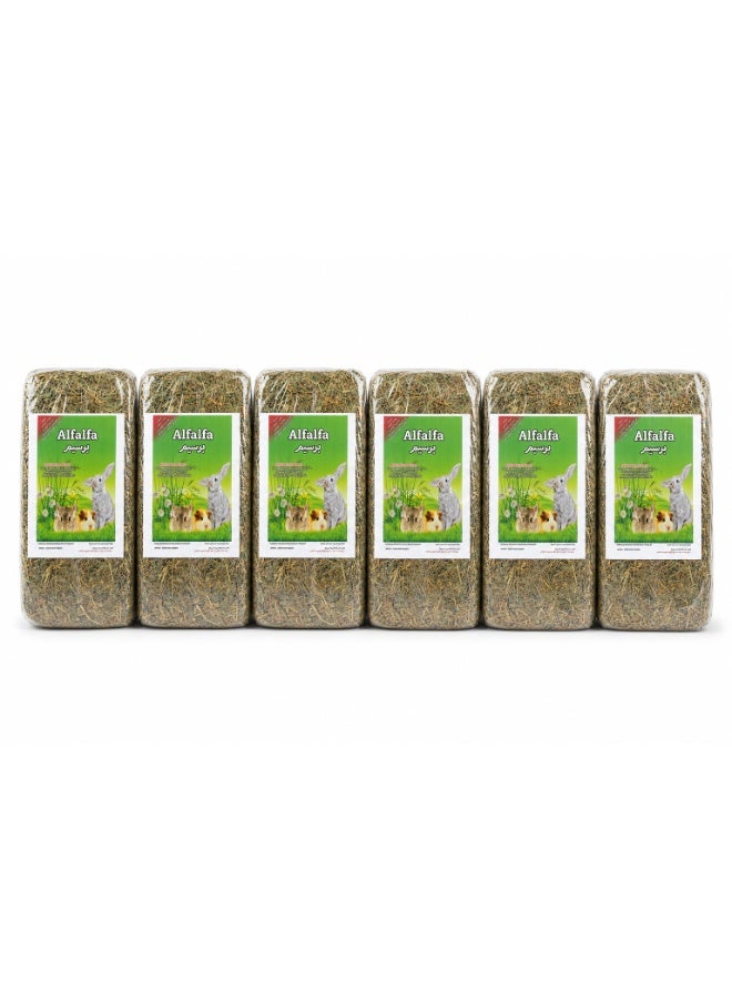 Alfalfa Natural Small Animal Food 1kg (Pack of 6) | 6kg Barseem Hay for Rabbits, Guinea Pigs, & Chinchillas
