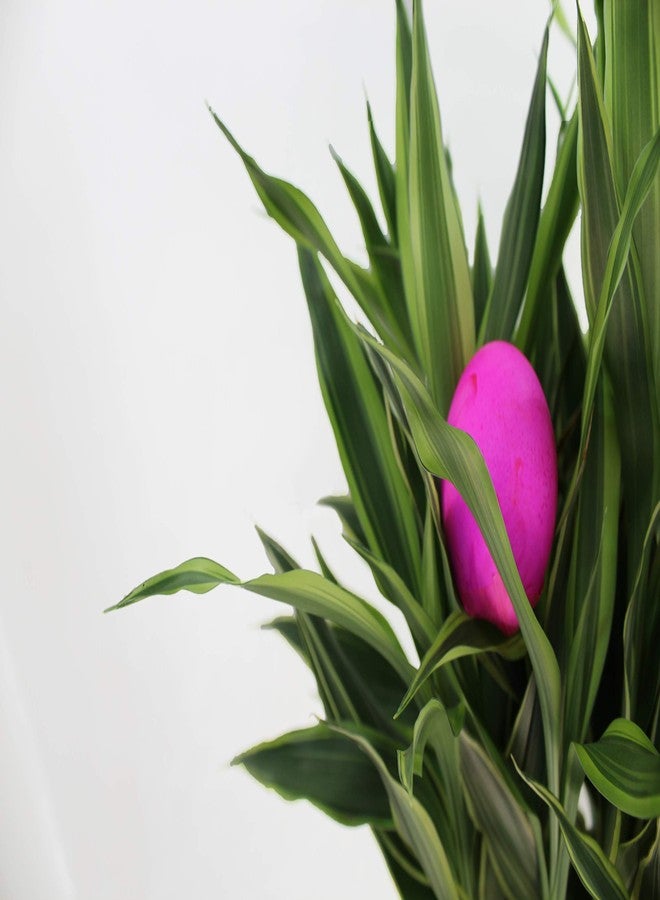 Pinata Confetti Eggs, 24 Total, Multicolored, Humpty Dumpty Cascarones, 2 Cartons for Easter, Cinco de Mayo, Birthdays and Fiestas - Image 5