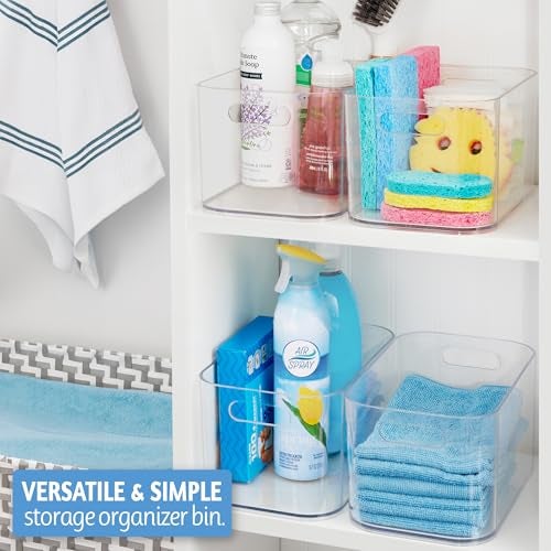 STORi Bliss 10" x 6" Open Clear Pantry Organizer Bin, Plastic Containers with Handle for Kitchen, Fridge, Cabinet, Closet, Bathrom, Undersink Storage Made in USA - Image 3