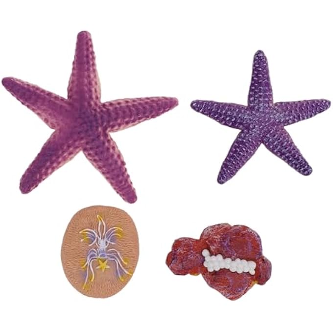 Starfish Figure, Sea Animal Educational Toy for Children Ages 3 and Up, Suitable for Study Office Decoration, 4 Pcs Model