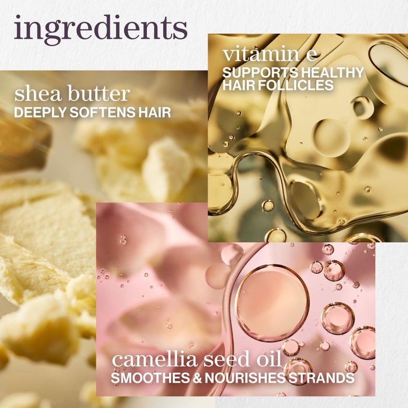 PUREOLOGY شامبو بيورولوجي سموذ بيرفكشن | للشعر المجعد والمعالج بالألوان | ينعم الشعر وي控制 التجاعيد | خالي من الكبريتات | نباتي | عبوة محدثة | 9 أونصة سائلة | - Image 4