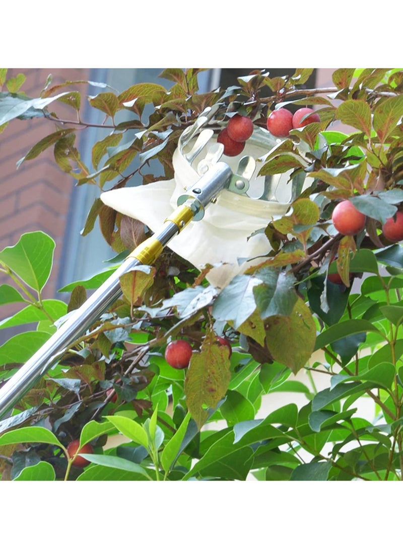 DubaiGallery Telescopic Fruit Picker Fruit Picking Tool Metal Fruit Picker with Collecting Bag Reusable Fruit Harvester for - Image 4