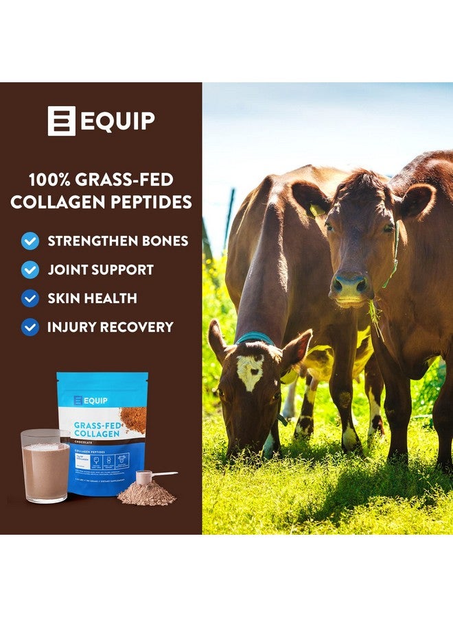 Equip Foods Grass Fed Collagen Powder 100% Hydrolyzed Bovine Collagen Peptides With Amino Acids Prime Beef Collagen For Healthy Joints Skin & Nails Nongmo Paleo Friendly 1.23 Pound Chocolate - Image 3