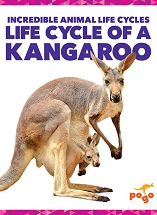 Life Cycle of a Kangaroo