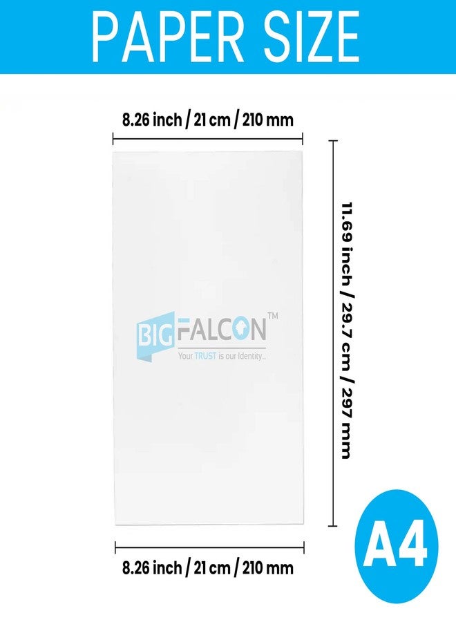 BIGFALCON ورق صور فاخر شديد اللمعان من بيج فالكون، 240 جرامًا للمتر المربع، مقاس A4 (210 × 297 مم)، مطلي براتنج RC، مقاوم للماء، مناسب لجميع طابعات نفث الحبر، 100 ورقة - Image 3