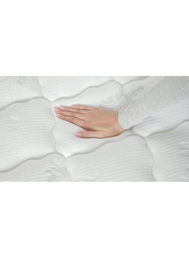 Mattress Sleep Professor Comfort - pzsku/Z3DBBB6E2D64F99A5DA92Z/45/_/1729246670/52ea1199-c13d-4ad3-8b74-ed62fc8bdca4