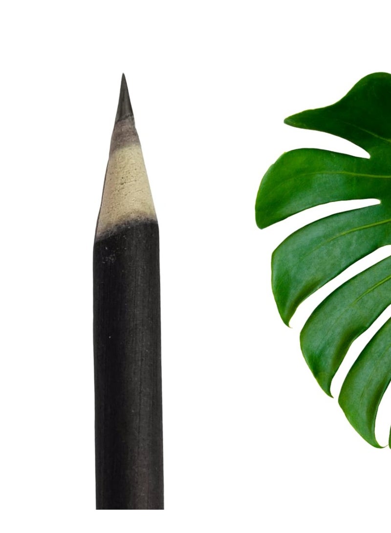 PIYAS PLANET Piyas Planet Ecofriendly Premium Plantable Pencils Pack of 5 - Image 3