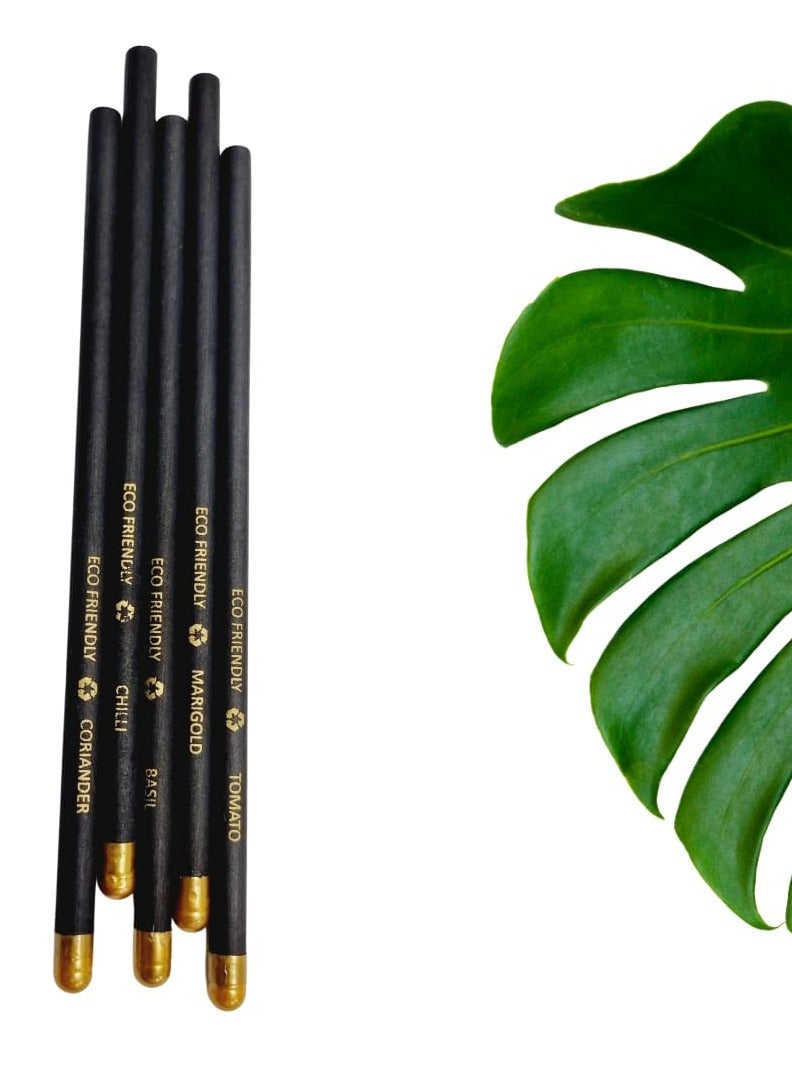 PIYAS PLANET Piyas Planet Ecofriendly Premium Plantable Pencils Pack of 5 - Image 2