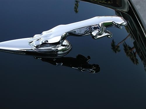 P21S 12700W Carnauba Wax - Image 3