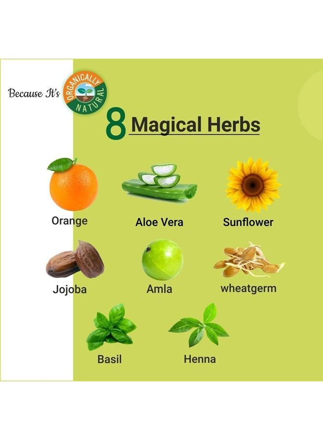 Indus Valley لون شعر جل طبيعي عضوي خالي من الأضرار دائم من إندوس فالي، خالي من الأمونيا، نباتي، خالي من القسوة، تغطية تصل إلى 100% من الشعر الرمادي | موصى به من قبل الأطباء | معتمد بيولوجياً - أسود 1.0 (20 جرام + 200 مل) حزمة - Image 4