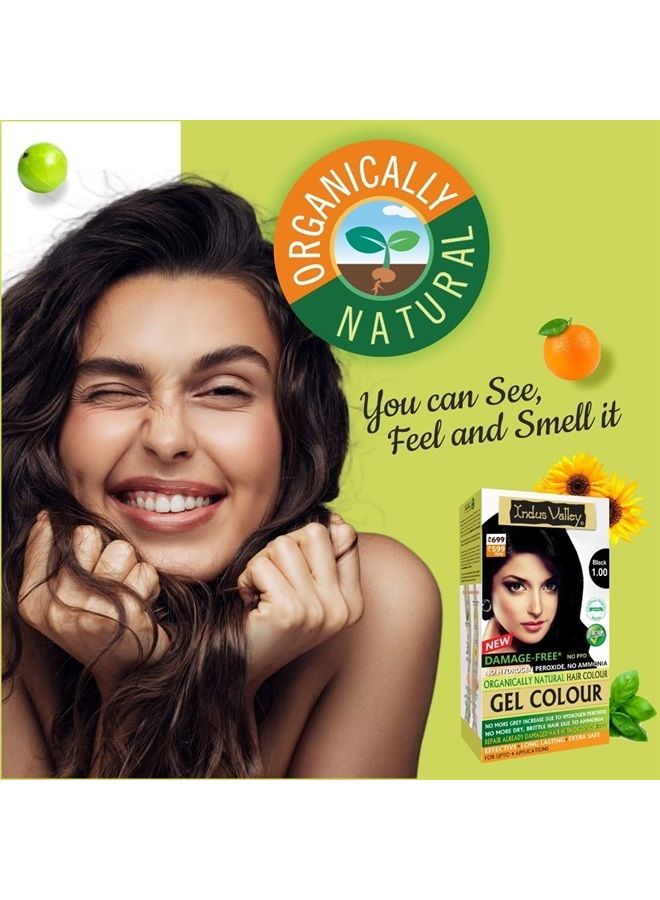 Indus Valley لون شعر جل طبيعي عضوي خالي من الأضرار دائم من إندوس فالي، خالي من الأمونيا، نباتي، خالي من القسوة، تغطية تصل إلى 100% من الشعر الرمادي | موصى به من قبل الأطباء | معتمد بيولوجياً - أسود 1.0 (20 جرام + 200 مل) حزمة - Image 2