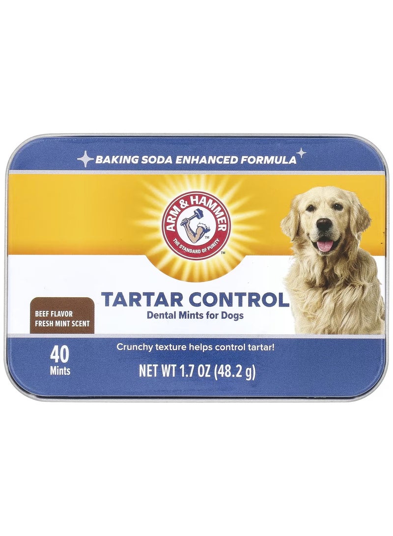 Arm & Hammer, Tartar Control Dental Mints For Dogs, Fresh Mint Scent, Beef, 40 Mints, 1.7 oz (48.2 g)