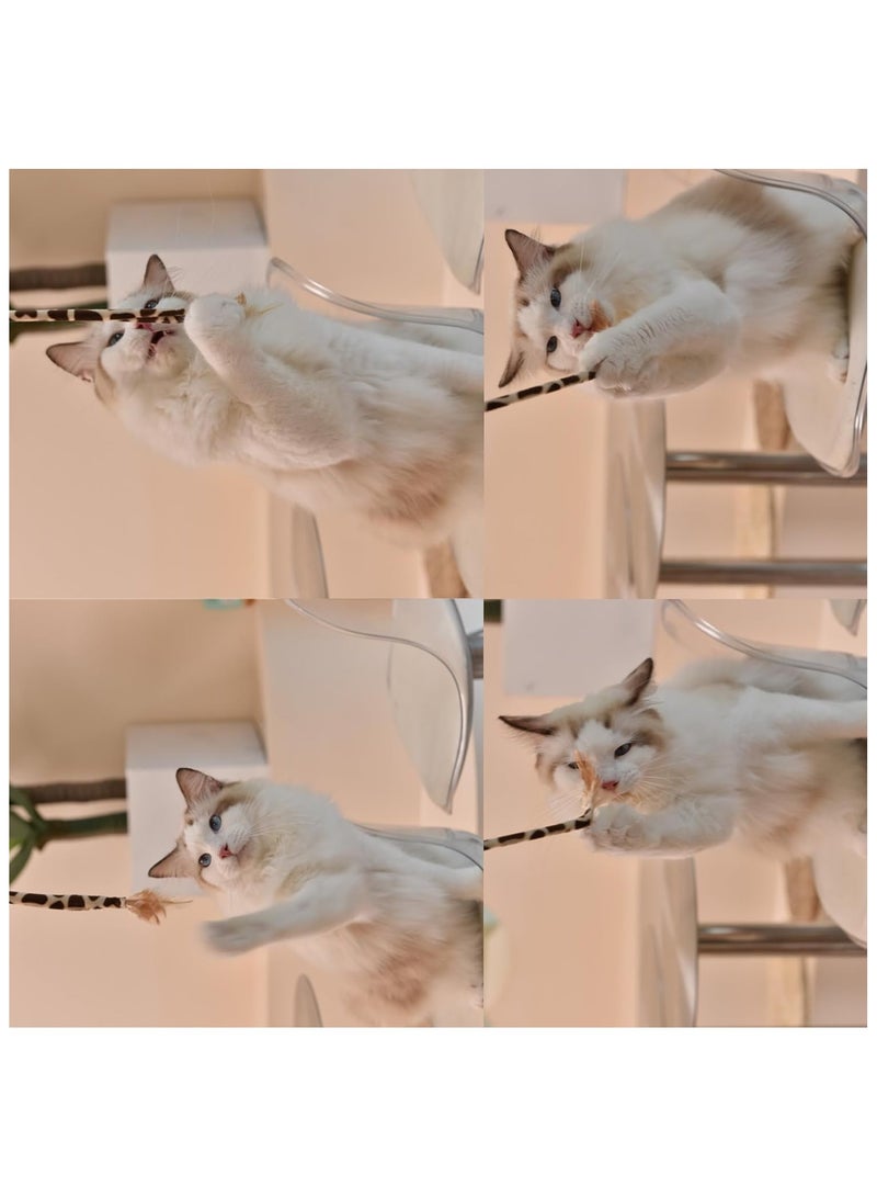 Generic 22 Pcs Cat Toys Interactive for Indoor Cats Tunnel Mouse Kitten Toys Cat Feather Teaser Wand Spring Toy - Image 5