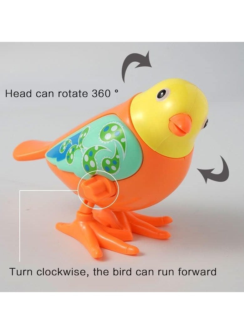 Toyland - Pack of 12 Pcs Wind Up Plastic Jumping Bird Toy - Image 1