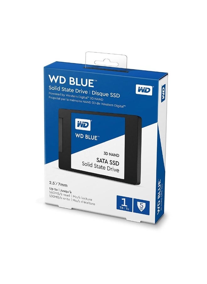 Western Digital 1TB Blue SATA SSD Internal Memory Card 1.0 TB 