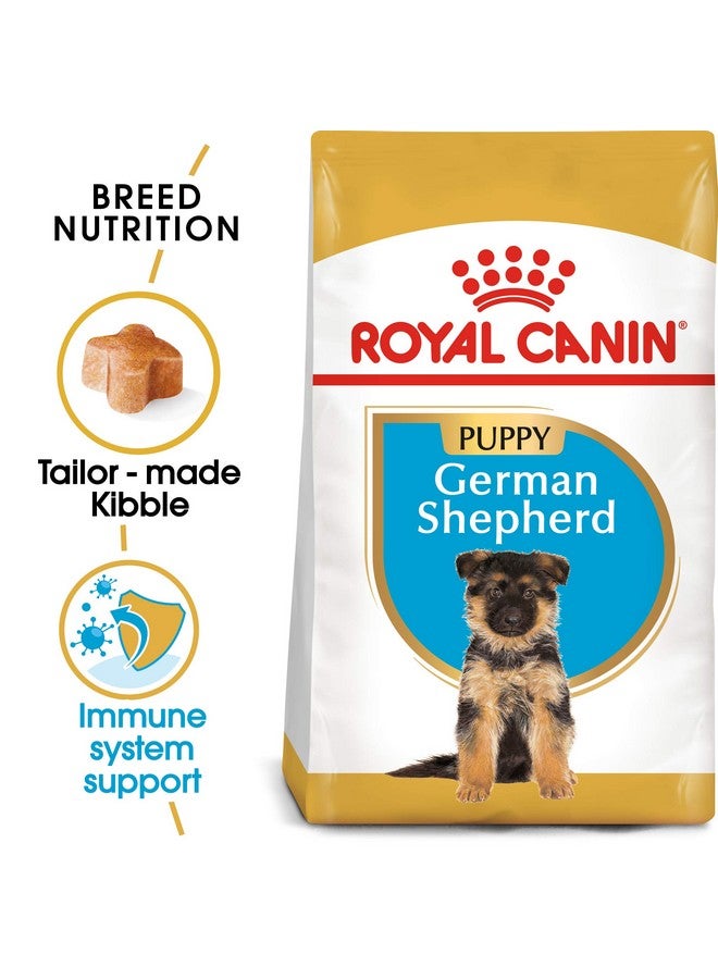 ROYAL CANIN طعام كلاب جرو الراعي الألماني، بنكهة اللحم، 1000 جرام، 1 كيلوغرام - Image 2