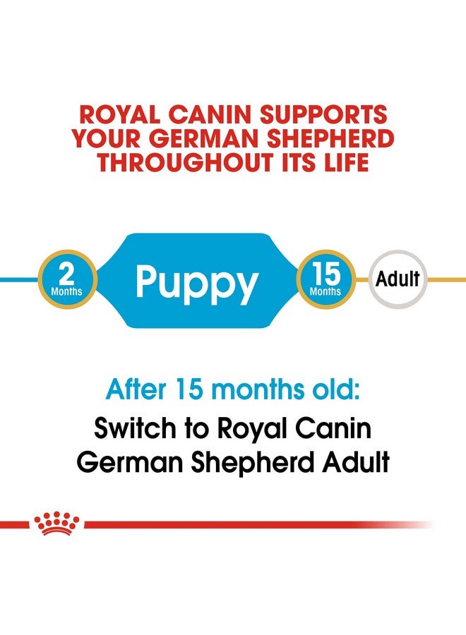 ROYAL CANIN طعام كلاب جرو الراعي الألماني، بنكهة اللحم، 1000 جرام، 1 كيلوغرام - Image 3
