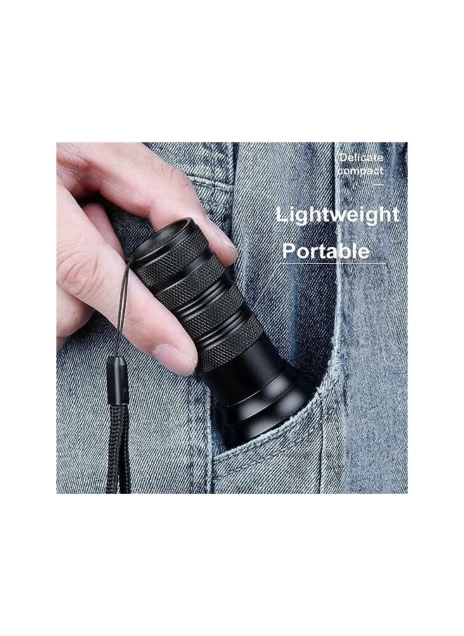 PROMASS promass UV Flashlight Black Light, 21 LED 395nm UV Flashlight, Small Portable Black Light Flashlight, Powerful Mini Blacklight Flashlight for Pet Urine Detection, Resin Curing, Bed Bug, Nails  - Image 4