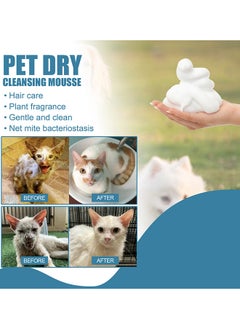 60ml Waterless Cat and Dog Shampoo Pet Dry Shampoo Foam Cleaner Bath Grooming for Cat Kitten Dog Puppy No Rinse - pzsku/Z3DC517C73858EA60141DZ/45/_/1697441467/f5ed81cb-3973-4057-81a1-01d8d9071005