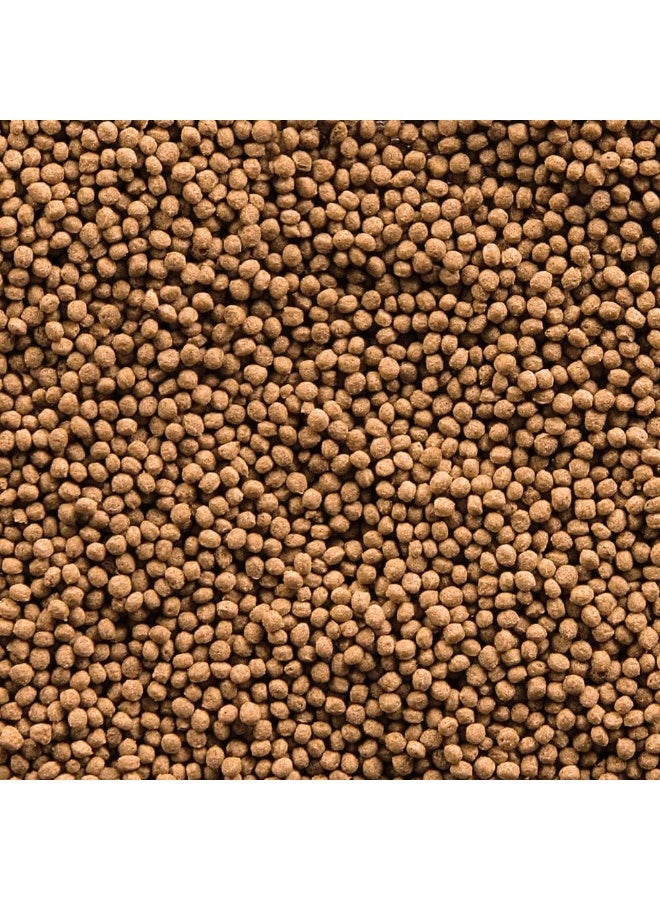 Sera غولدي جران ناتشر - 100 مل حبيبات طعام سمك - Image 2