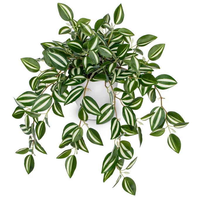 FAKE PLANTS INDOOR ARTIFICIAL POTTED SILK PLANTS FAUX WATERMELON PEPEROMIA CASCADING VINE PLANT FOR HOME OFFICE LIVINGROOM DESK SHELF MANTLE DECORATIONGREENWHITE 1 PACK
