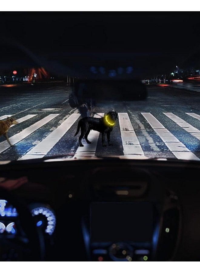 Joytale Light Up Dog Collar, Rechargeable Rainproof LED Collar for Night Walking Safety, Soft Silicone Glow in The Dark, Suitable for Small Medium Large Dogs, Yellow - Image 2