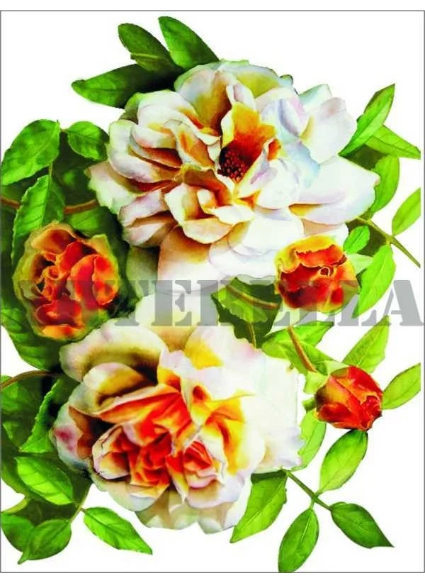 Artebella 1264V Small Easy Transfer 17x24 cm (Applicable on Open Ground)