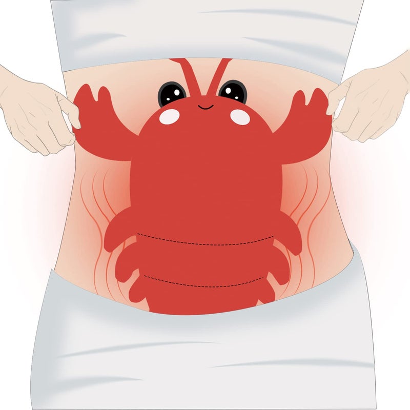 Intoypad Microwavable Heating Pad for Period Cramps, Cuddly Warming Pillow, Cute Lobster Plush Stuffed Animal Menstrual Heating Pad for Girls Unique Christmas Birthday Gifts for Girlfriend Daughter Mom - Image 5