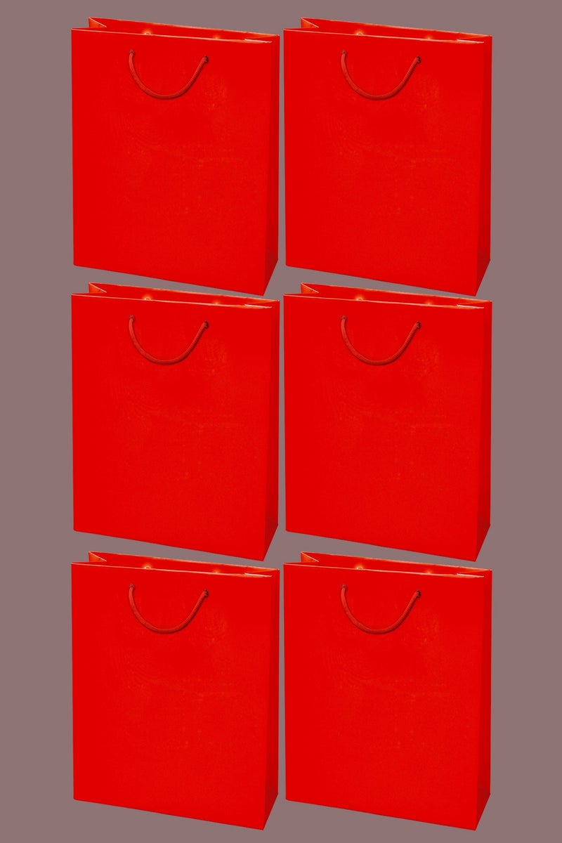 LOWHAT Pack Of 6 Laminated Paper Gift Bags 18x23x10 CM