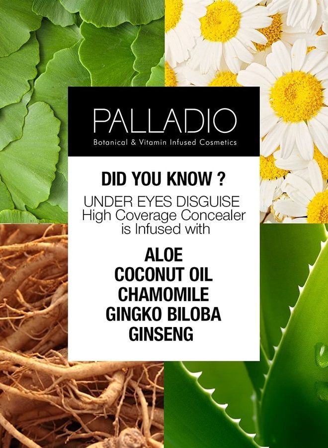 PALLADIO Full Coverage Concealer, Under Eyes Disguise, Creamy Face and Eye Concealer, Evens Skin Tone, Conceals Blemishes, Dark Circles and Fine Lines, Use with Concealer Brush, Toffee - Image 5