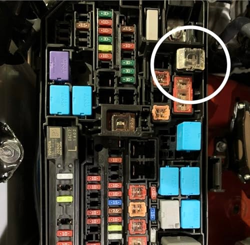 EDS 927-1080 80 Amp Cartridge Fuse Compatible Replacement for Ford XR8T-14A094-BA 68021185AA 82211AJ81A 90982-08305 XR8T-14A094-B 24370C9980 - Pal 3 Fuse - Image 3