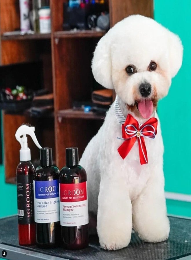 iGroom Vavoom Volumizing Dog Shampoo, Luxury Pet Beauty Care, Add Body and Volume, Lightweight, Made in USA, 16 oz - Image 4