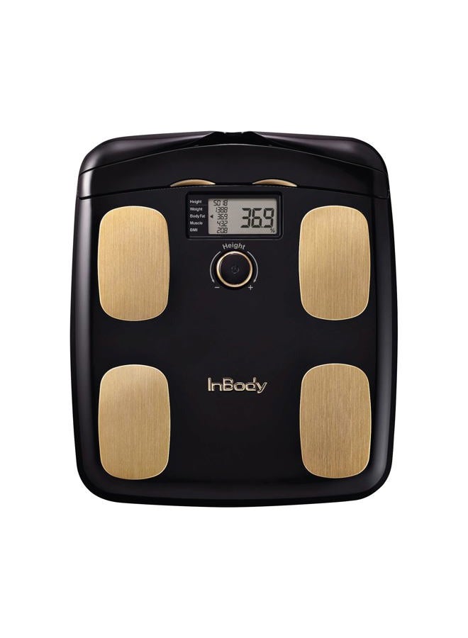 Dial H20 Body Fat Scale - InBody Scale for Body Weight, Fat Percentage and Muscle Mass - Gym Accessory for Men & Women, Body Fat Measurement Device - Bluetooth-Connected, Midnight Black