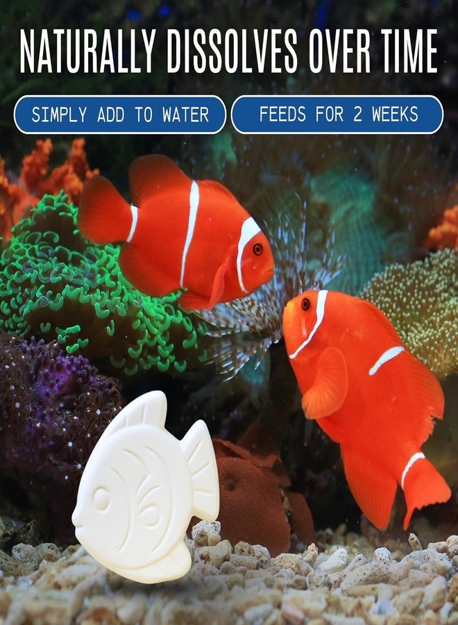 Atlantic Rush Vacation Feeder for Aquarium - 14 Day Feeder Block - Slow Release Fish Food for Betta, Goldfish & Tropical Fish - Aquatic Pet Tank Food (2 Packs of 2 Blocks) - Image 5