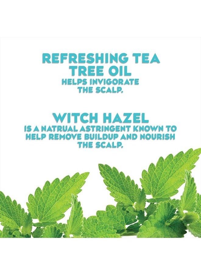 Ogx - Extra Strength Refreshing + Invigorating Teatree Mint Dry Scalp Treatment with Witch Hazel Astringent to Help Remove Scalp Buildup, Paraben-Free, Sulfate Surfactant-Free, 4 fl oz - Image 1