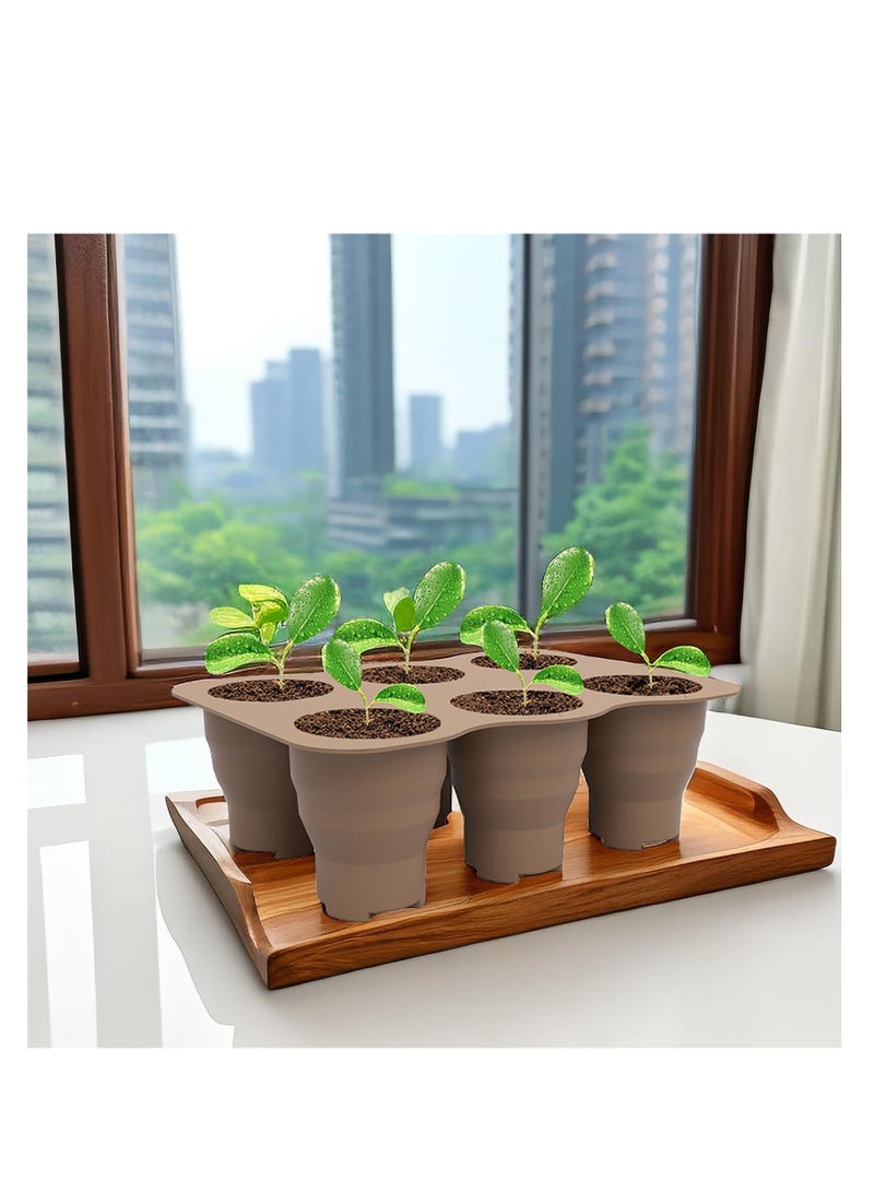 SOLARAE Silicone Seed Starter Tray, 100% Silicone, Zero Plastic, BPA Free, Reusable Seed Starter Tray Bonsai Plant Starter Kit Flexible Seedling Germination Cup for Indoor Plant Propagation (Brown) - Image 5