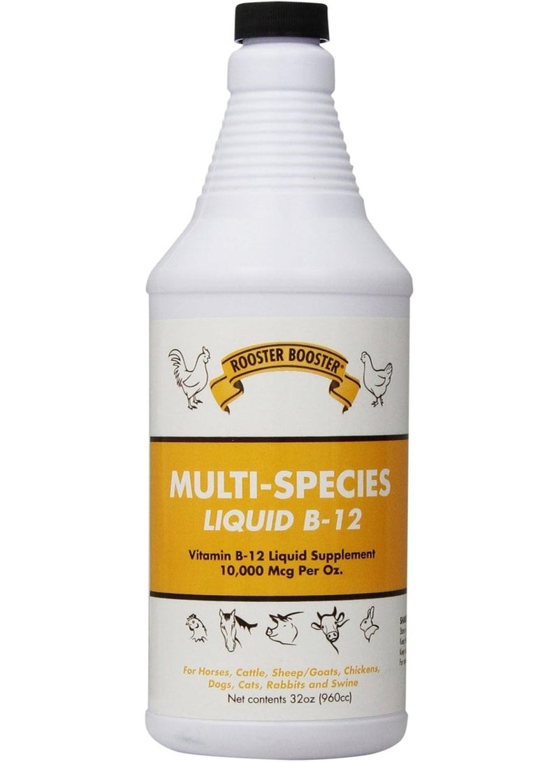 Rooster booster B-12 Liquid, 32-Ounce - Image 1