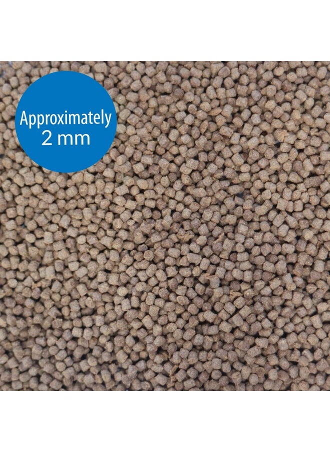 ايه بي آي طعام أسماك API BETTA FOOD حبيبات طعام الأسماك عبوة 0.78 أونصة  - Image 2