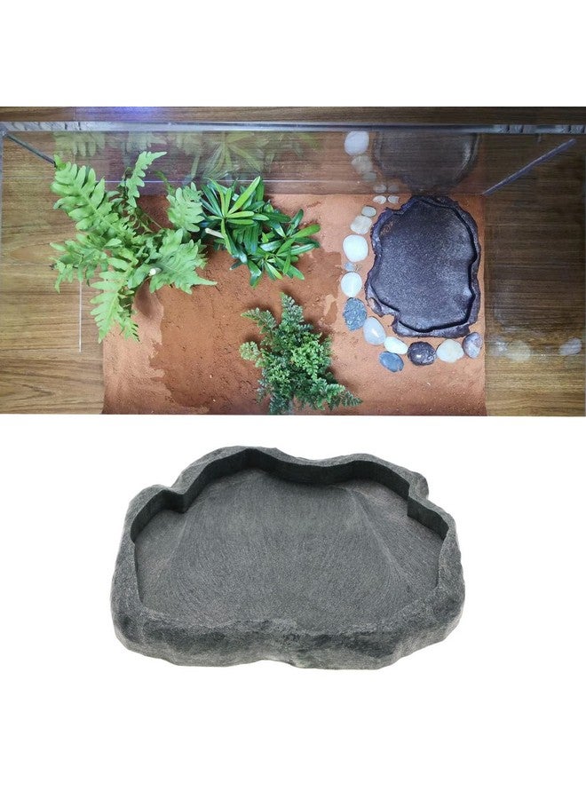 ECSiNG Reptiles Water Tray Tortoise Feeder Lizard Water Dish Resin Drinking Bowl for Tortoise Lizard Frog Terrapin Gecko Spider Scorpion Size M - Image 2
