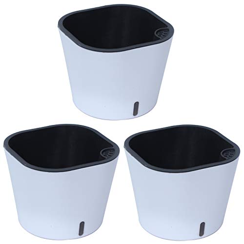 MADHULI Gardencia Cube Planter, Self Watering Polypropylene with UV Material Flower Pot, Indoor & Outdoor Decoration Plant Pot for Home & Garden 6x6x5 in, White, Pack of 3 - Image 1