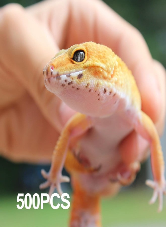 ZIYIZE 500 Pcs Feeding Cups Samll 0.5 oz Gecko Food and Water Feeding Dish Ledge Accessories Bowls for Crested Gecko Lizards Reptiles Pets - Image 2