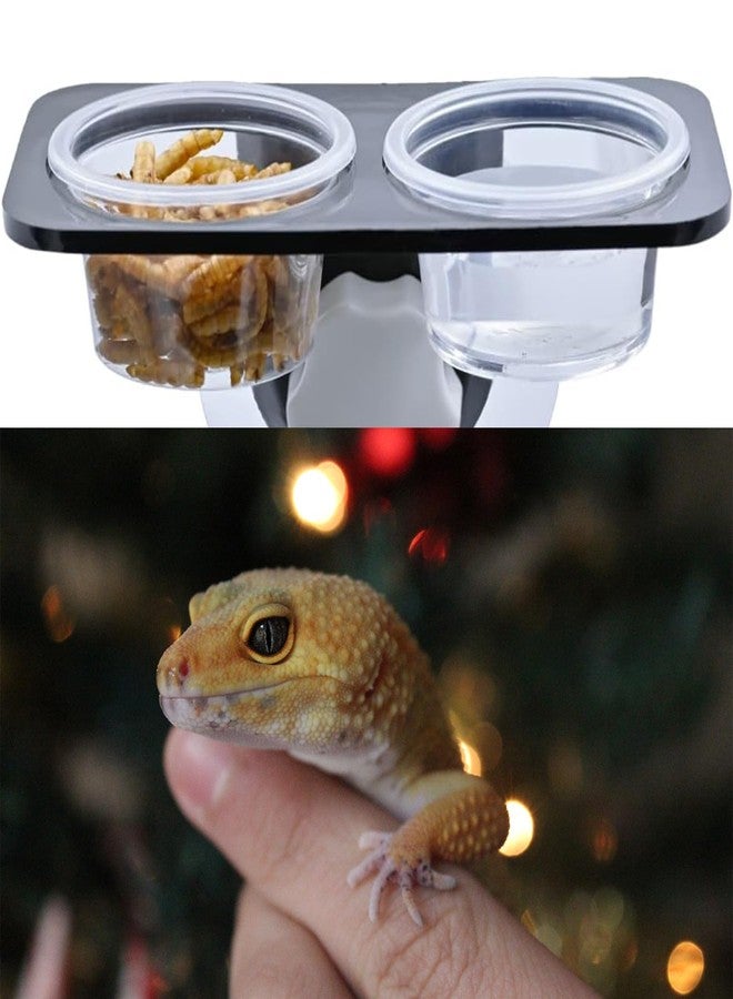 ZIYIZE 500 Pcs Feeding Cups Samll 0.5 oz Gecko Food and Water Feeding Dish Ledge Accessories Bowls for Crested Gecko Lizards Reptiles Pets - Image 4