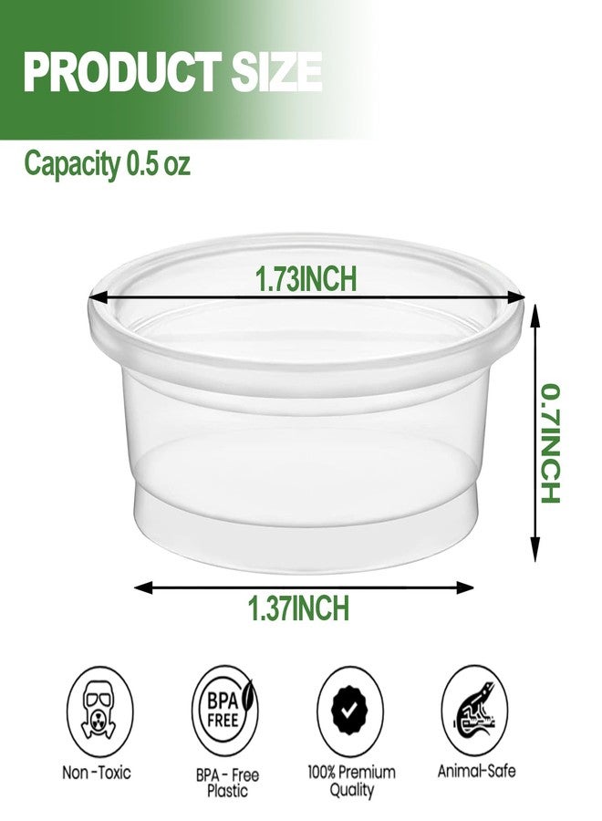 ZIYIZE 500 Pcs Feeding Cups Samll 0.5 oz Gecko Food and Water Feeding Dish Ledge Accessories Bowls for Crested Gecko Lizards Reptiles Pets - Image 3