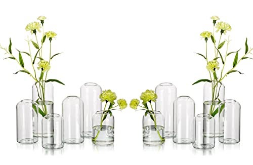 Hewory Glass Bud Vases for Flowers - Hewory Blown Modern Small Glass Vases for Centerpieces Set of 12, Mini Clear Bulk Flower Vases for Wedding Party Events Home Decor Floral Arrangement (Not Include Flower) - Image 5