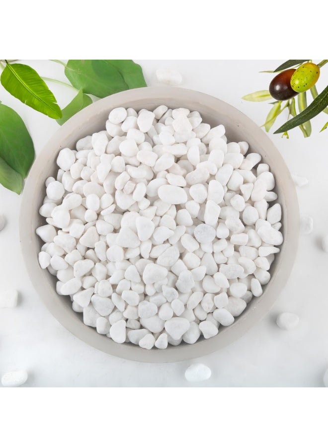 MirageBotanics 1-5Kg White Rocks for Plants, 1.0-5.0cm White Pebbles, Decorative Stones for Vases, Small Aquarium Gravel for Fish Tank Garden Rocks for Potted Plants & Home Decor - Image 1