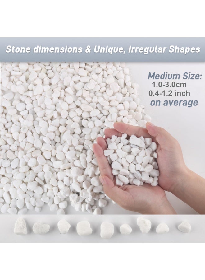 MirageBotanics 1-5Kg White Rocks for Plants, 1.0-5.0cm White Pebbles, Decorative Stones for Vases, Small Aquarium Gravel for Fish Tank Garden Rocks for Potted Plants & Home Decor - Image 3
