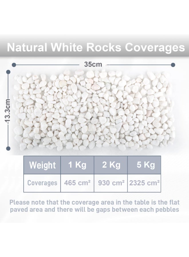 MirageBotanics 1-5Kg White Rocks for Plants, 1.0-5.0cm White Pebbles, Decorative Stones for Vases, Small Aquarium Gravel for Fish Tank Garden Rocks for Potted Plants & Home Decor - Image 5