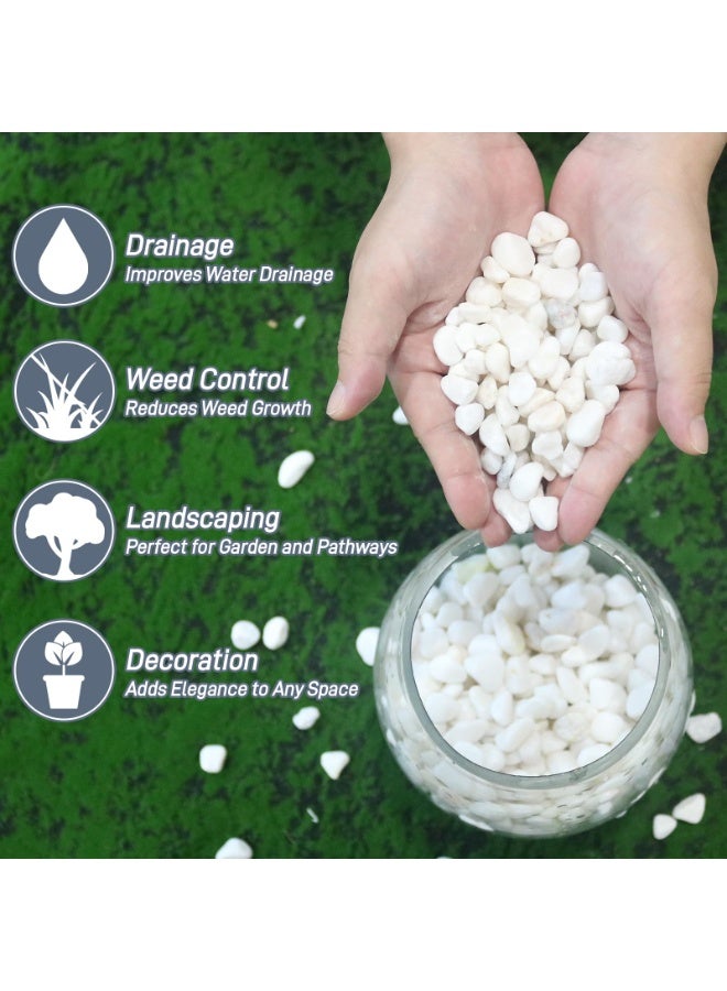 MirageBotanics 1-5Kg White Rocks for Plants, 1.0-5.0cm White Pebbles, Decorative Stones for Vases, Small Aquarium Gravel for Fish Tank Garden Rocks for Potted Plants & Home Decor - Image 2