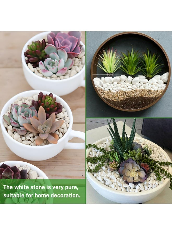 MirageBotanics 1-5Kg White Rocks for Plants, 1.0-5.0cm White Pebbles, Decorative Stones for Vases, Small Aquarium Gravel for Fish Tank Garden Rocks for Potted Plants & Home Decor - Image 4